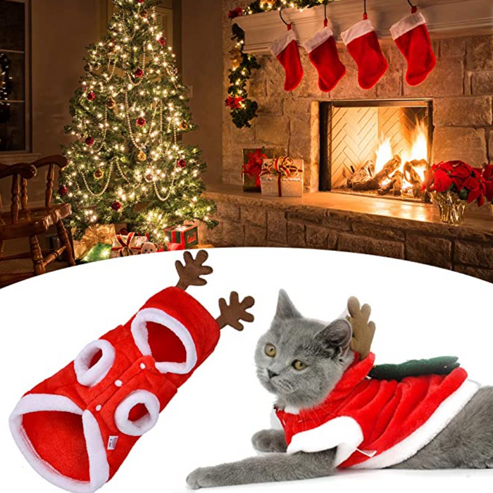 Conjunto Roupa de Natal para cão ou Gato ( 4 tamanhos) - PetDoctors - Loja Online