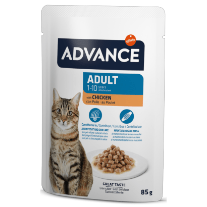 Advance Cat Adult Chicken | Wet (Saqueta) | Caixa 12 Saquetas 85 gramas - PetDoctors - Loja Online
