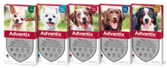 Advantix® - Pipetas Advantix® Desparasitante para cães - Conjunto de 4 Pipetas - PetDoctors - Loja Online