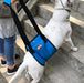 Arnês de reabilitação de apoio para cães - ajuda auxiliar para animais idosos ou com lesões - PetDoctors - Loja Online