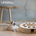 Arranhador / Brinquedo / Puzzle para Gatos - PetDoctors - Loja Online