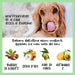 Bálsamo para o Nariz dos Cães - Natural e Sem Fragrância com Manteiga De Karité, Vitamina E e Cêra De Abelhas - Creme Nasal Reparador e Hidratante - PetDoctors - Loja Online