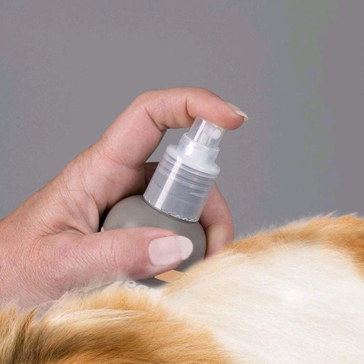 Beaphar Champô de alta qualidade a seco, para cão, 200 ml - PetDoctors - Loja Online