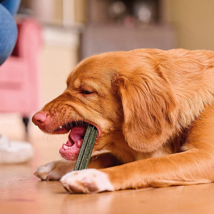 Beaphar - Snack para cães adultos, Médios e Grandes - Sticks de Limpeza Oral - PetDoctors - Loja Online
