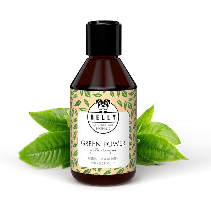 Belly Champô para cães com pele sensível - Acalma a comichão e a irritação (chá verde e aloé vera) - PetDoctors - Loja Online