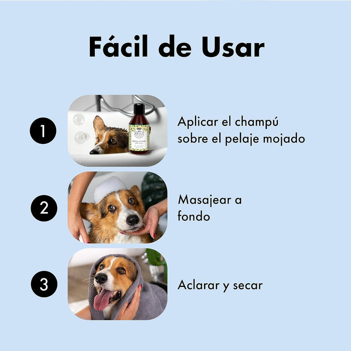 Belly Champô para cães com pele sensível - Acalma a comichão e a irritação (chá verde e aloé vera) - PetDoctors - Loja Online
