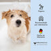 Belly Champô para cães com pele sensível - Acalma a comichão e a irritação (chá verde e aloé vera) - PetDoctors - Loja Online