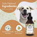 Belly Colónia Spray para cães, aroma pêssego, fresco e hidratante (250 ml) - PetDoctors - Loja Online