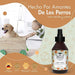 Belly Colónia Spray para cães, aroma pêssego, fresco e hidratante (250 ml) - PetDoctors - Loja Online