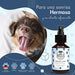 Belly Spray Dental para Cães com Óleo de Menta e Rosmaninho - Elimina o Mau Hálito (100ml) - PetDoctors - Loja Online