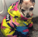 Blusão Colorido, Quente, Impermeável e com Capuz para Cães Pequenos / Médios - PetDoctors - Loja Online