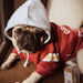 Blusão com Capuz para Cães (French Bulldog ou raças pequenas ou médias) - PetDoctors - Loja Online
