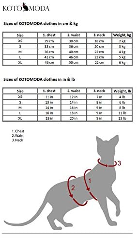 Blusão com capuz para gatos Sphynx ou outros - PetDoctors - Loja Online