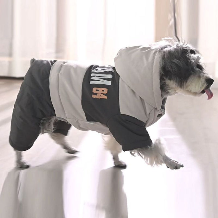 Blusão / Gabardine Impermeável com Capuz para Cães de Raça Pequena e Média - PetDoctors - Loja Online