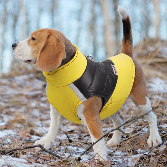 Blusão Quente, Acolchoado, Impermeável, para Cães - PetDoctors - Loja Online