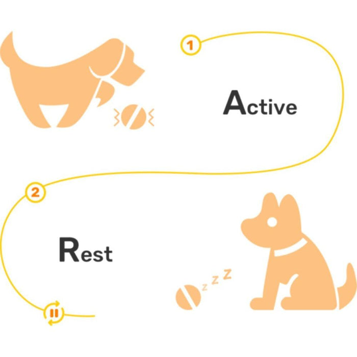 ⭐️⭐️⭐️⭐️⭐️ Bola "Inteligente" / Brinquedo Super-Divertido para 🐶 Cães e 🐱 Gatos (carregamento USB - Luz LED Flash) ⭐️⭐️⭐️⭐️⭐️ - PetDoctors - Loja Online