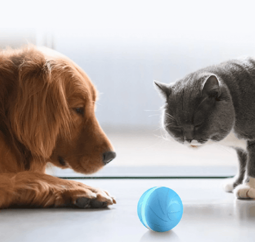 ⭐️⭐️⭐️⭐️⭐️ Bola "Inteligente" / Brinquedo Super-Divertido para 🐶 Cães e 🐱 Gatos (carregamento USB - Luz LED Flash) ⭐️⭐️⭐️⭐️⭐️ - PetDoctors - Loja Online