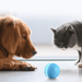 ⭐️⭐️⭐️⭐️⭐️ Bola "Inteligente" / Brinquedo Super-Divertido para 🐶 Cães e 🐱 Gatos (carregamento USB - Luz LED Flash) ⭐️⭐️⭐️⭐️⭐️ - PetDoctors - Loja Online