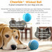 ⭐️⭐️⭐️⭐️⭐️ Bola "Inteligente" / Brinquedo Super-Divertido para 🐶 Cães e 🐱 Gatos (carregamento USB - Luz LED Flash) ⭐️⭐️⭐️⭐️⭐️ - PetDoctors - Loja Online