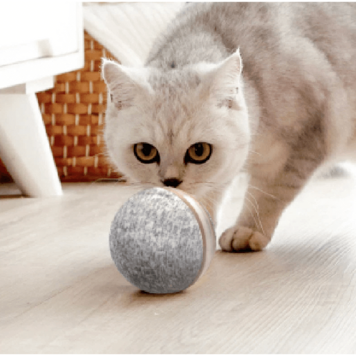 ⭐️⭐️⭐️⭐️⭐️ Bola "Inteligente" / Brinquedo Super-Divertido para 🐶 Cães e 🐱 Gatos (carregamento USB - Luz LED Flash) ⭐️⭐️⭐️⭐️⭐️ - PetDoctors - Loja Online
