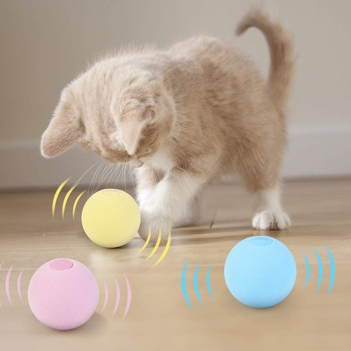 Brinquedos para gatos animais de estimação produtos novidade funni macio  patas interativas bolas vara acessórios para animais de estimação rolo  mágico bola cão gato brinquedo jogos - AliExpress