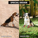 Botas para Cães, Respiráveis, com tiras refletoras, sola macia antiderrapante - PetDoctors - Loja Online