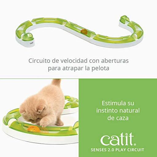 Brinquedo "Circuito de Velocidade" para Gatos - PetDoctors - Loja Online