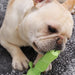 Brinquedo de Limpeza de Dentes, Forte e Durável, para Cães Grandes e Médios - PetDoctors - Loja Online