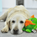 Brinquedo Fôfo - AGNAR - PetDoctors - Loja Online