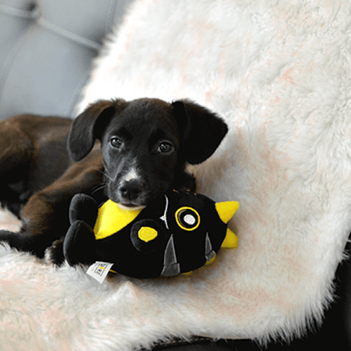 Brinquedo Fôfo - NERO - PetDoctors - Loja Online
