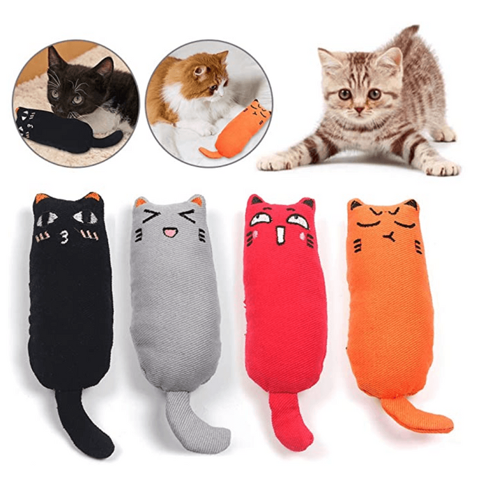 Brinquedo para Gatos (com Catnip no interior) - PetDoctors - Loja Online