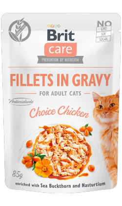 Brit Care Cat Choice Chicken in Gravy | Wet (Saqueta) | 6 x 85 gramas | Ração Húmida para Gatos em Saquetas - PetDoctors - Loja Online