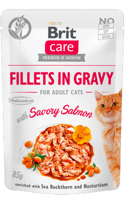 Brit Care Cat Savory Salmon in Gravy | Wet (Saqueta) | 6 x 85 gramas | Ração Húmida Super Premium para Gatos - PetDoctors - Loja Online