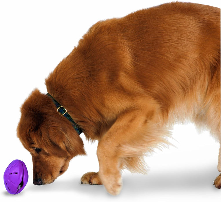 Busy Buddy Twist 'n Treat - Brinquedo dispensador de Biscoitos para cães - PetDoctors - Loja Online