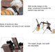 Cadeira de Rodas para Cães, em Alumínio - PetDoctors - Loja Online