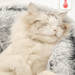 Cama Redonda com Cobertura, Super-Macia, Quentinha, Calmante e Envolvente, para Gatos ou Cães de Raças Pequenas - PetDoctors - Loja Online