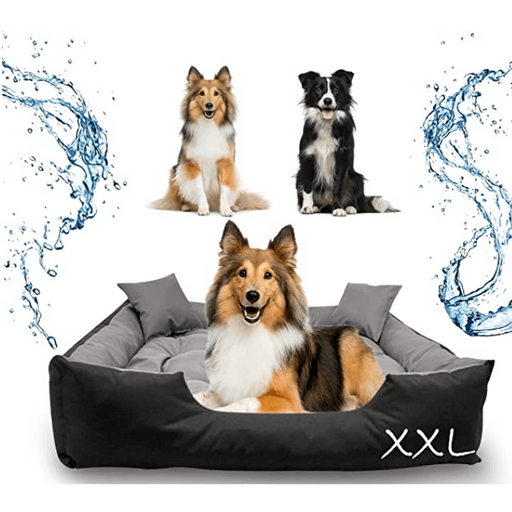 Cama / Sofá para cães, Lavável, ideal para Cães Grandes - 115 cm x 95 cm - PetDoctors - Loja Online