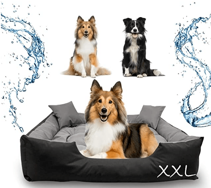 Cama / Sofá para cães, Lavável, ideal para Cães Grandes - 115 cm x 95 cm - PetDoctors - Loja Online