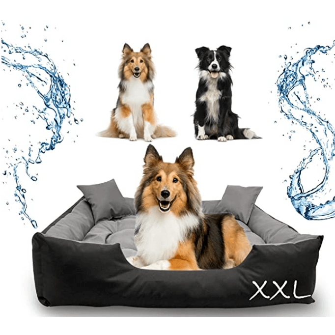 Cama / Sofá para cães, Lavável, ideal para Cães Grandes - 115 cm x 95 cm - PetDoctors - Loja Online