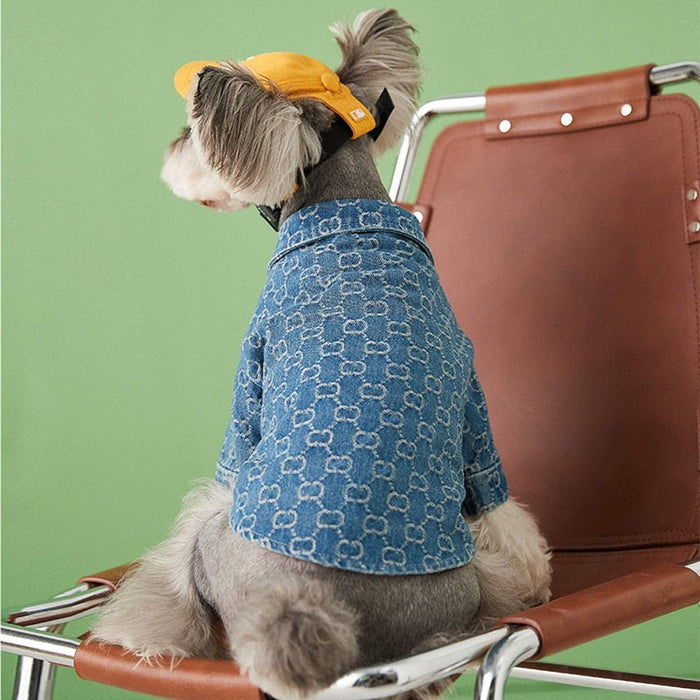 Camisa / Casaco "Designer" para Cães Pequenos e Médios - PetDoctors - Loja Online