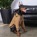 Camisola com Capuz (Hoodie) para Cães de Raças Médias e Grandes - PetDoctors - Loja Online