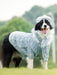 Camisola de Lã e Gorro com Cachecol para Cães (Outono / Inverno) - PetDoctors - Loja Online