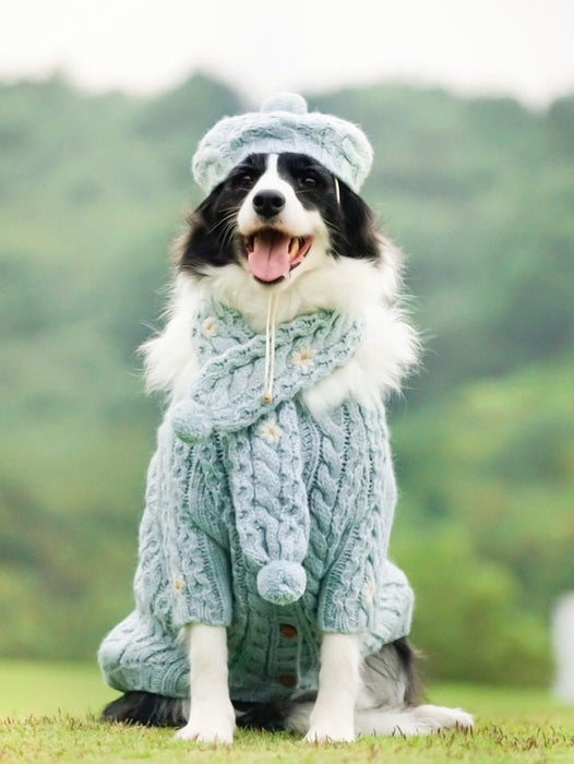 Camisola de Lã e Gorro com Cachecol para Cães (Outono / Inverno) - PetDoctors - Loja Online