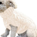 Camisola de Outono / Inverno para Cães - PetDoctors - Loja Online