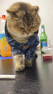 Camisola em ganga para Cães pequenos e médios ou Gatos - PetDoctors - Loja Online