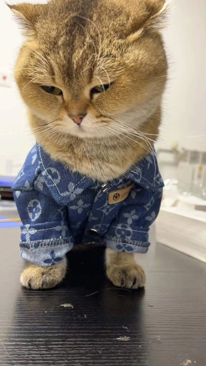 Camisola em ganga para Cães pequenos e médios ou Gatos - PetDoctors - Loja Online
