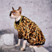 Camisola para gatos (Sphynx ou outros) - PetDoctors - Loja Online