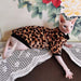 Camisola para gatos (Sphynx ou outros) - PetDoctors - Loja Online