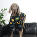 Capa / Camisola para Cães - PetDoctors - Loja Online