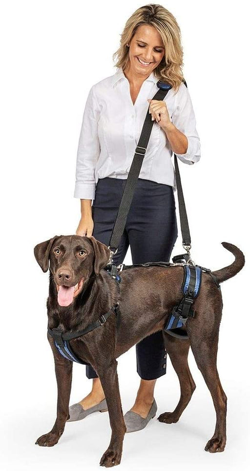 CareLift Arnês de Suporte com alça, para Cães idosos ou doentes, ajuda a levantar o corpo inteiro (PetSafe) - PetDoctors - Loja Online